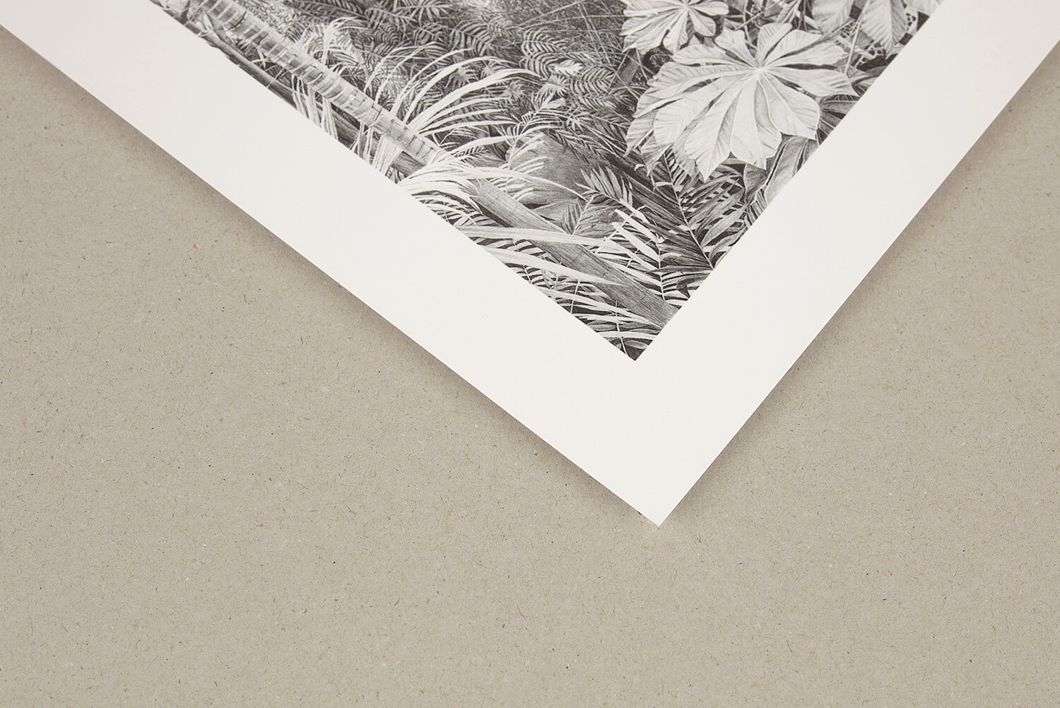 Hahnemuhle Photo Rag Ultra Smooth
