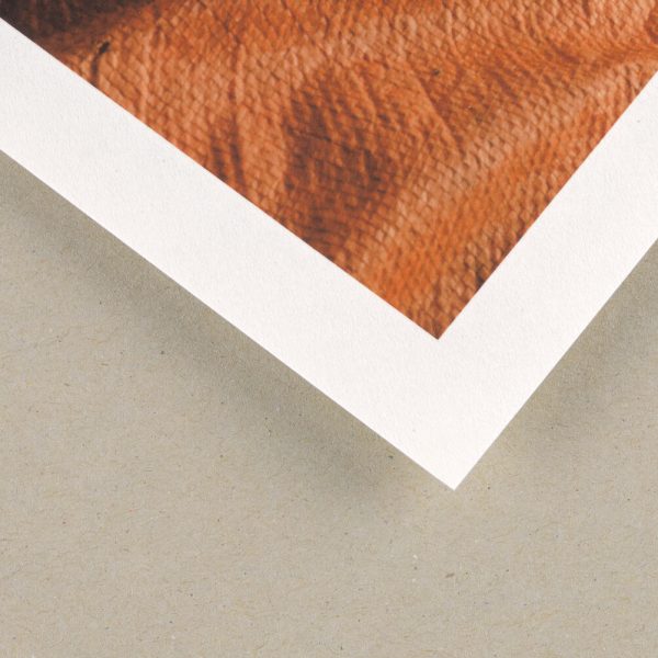 Awagami Washi Bamboo