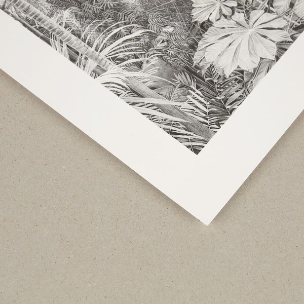 Hahnemuhle Photo Rag Ultra Smooth Hahnemuhle Photo Rag Ultra Smooth